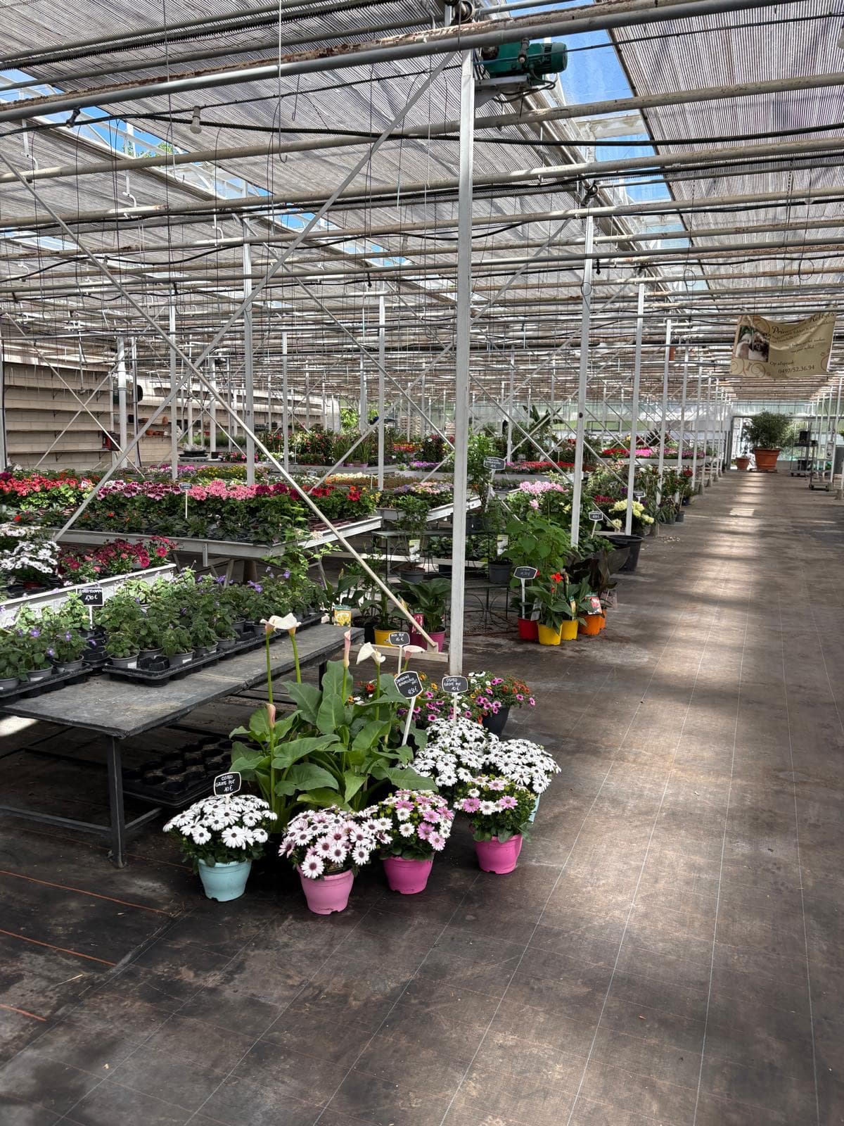 De serre van Ectortuin